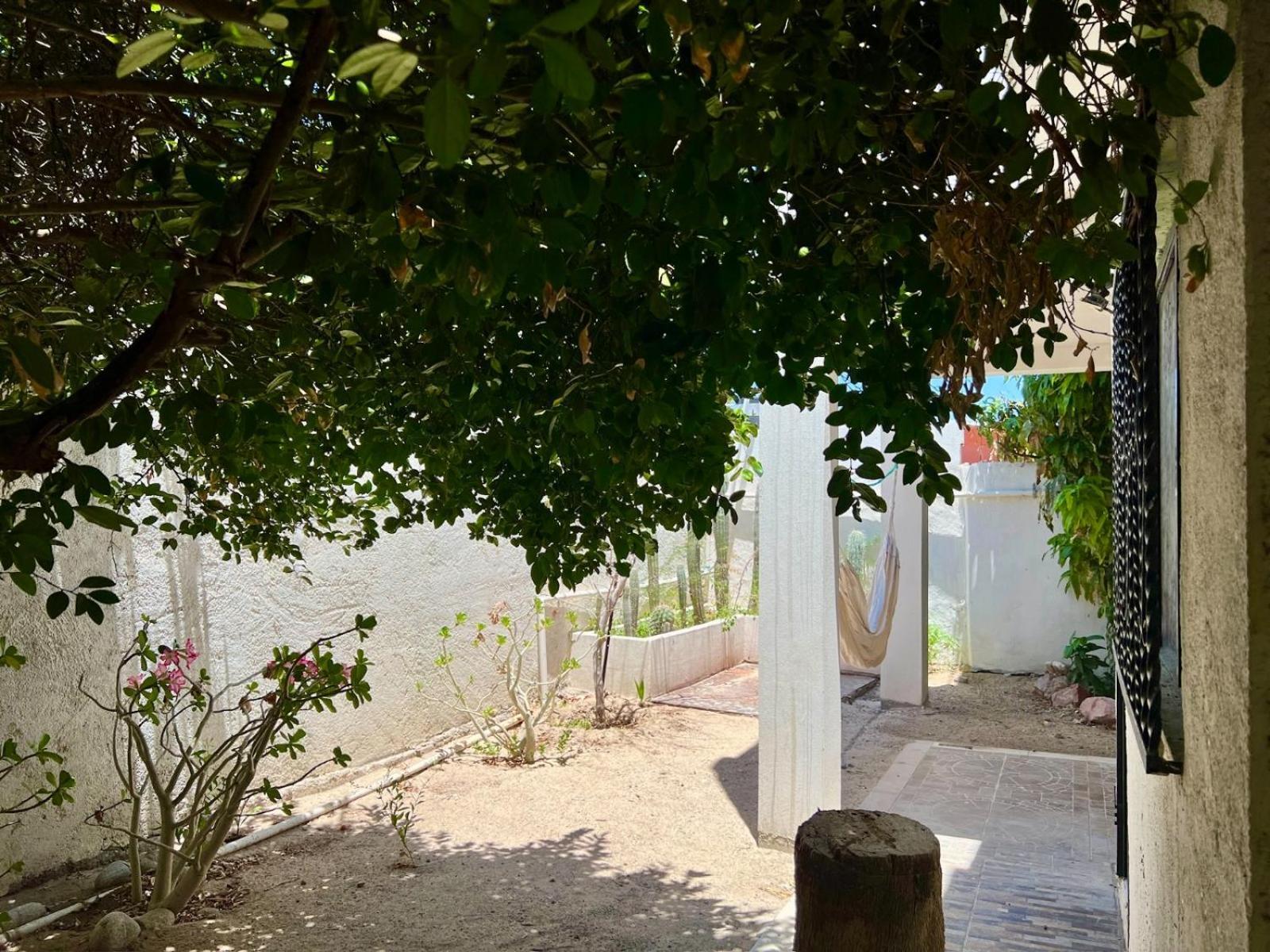 La Casa Del Pescador Leilighet La Paz Eksteriør bilde